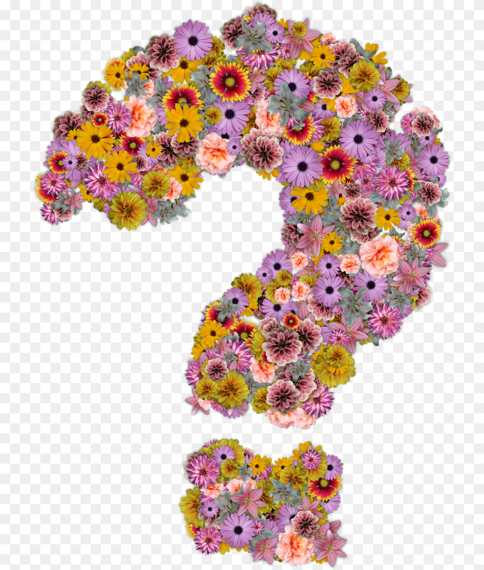 Point D39 Interrogation Flower With Question Mark, Art, Floral Design, Graphics, Pattern Png Image