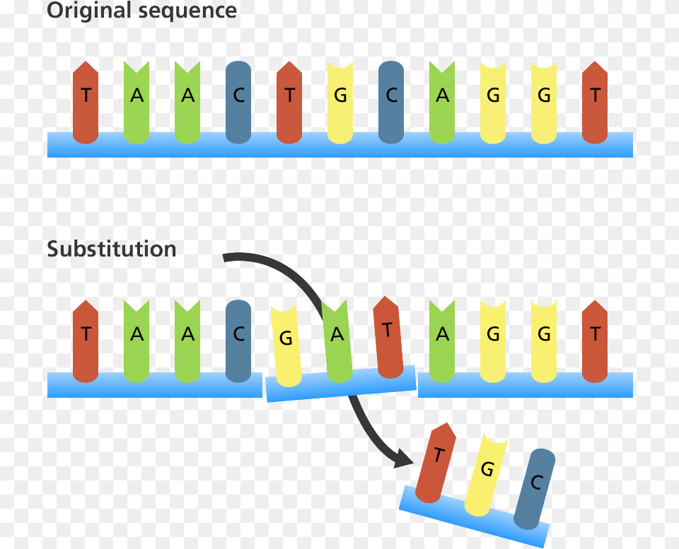 Point Mutation Substitution Mutation, Scoreboard, Text, Number, Symbol Free Png