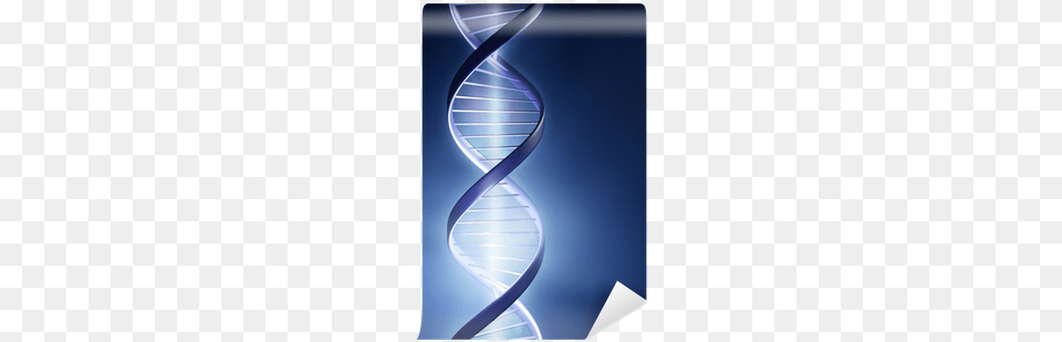 Point Of Light Communicate With Your Dna Change Your, Architecture, Building, Coil, House Free Transparent Png
