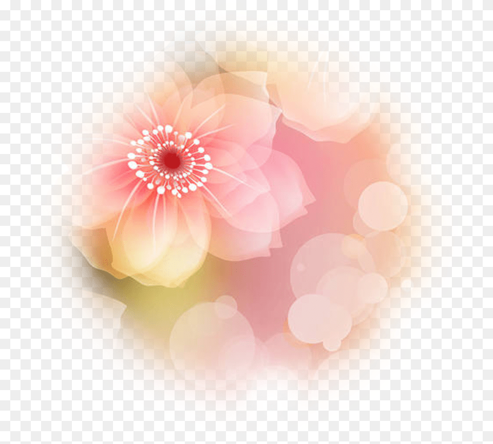 Point Of Light Dahlia, Flower, Plant, Pattern, Art Png Image