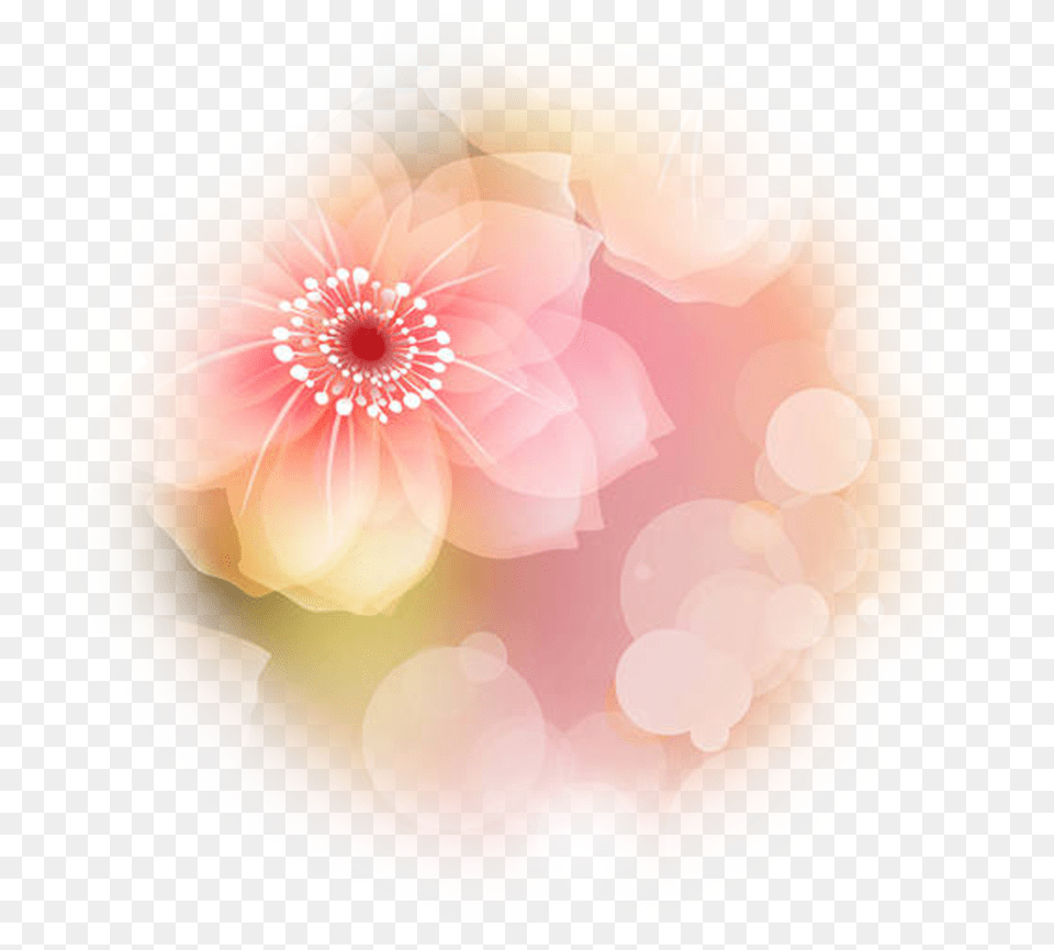 Point Of Light Dahlia, Flower, Plant, Pattern, Art Free Transparent Png