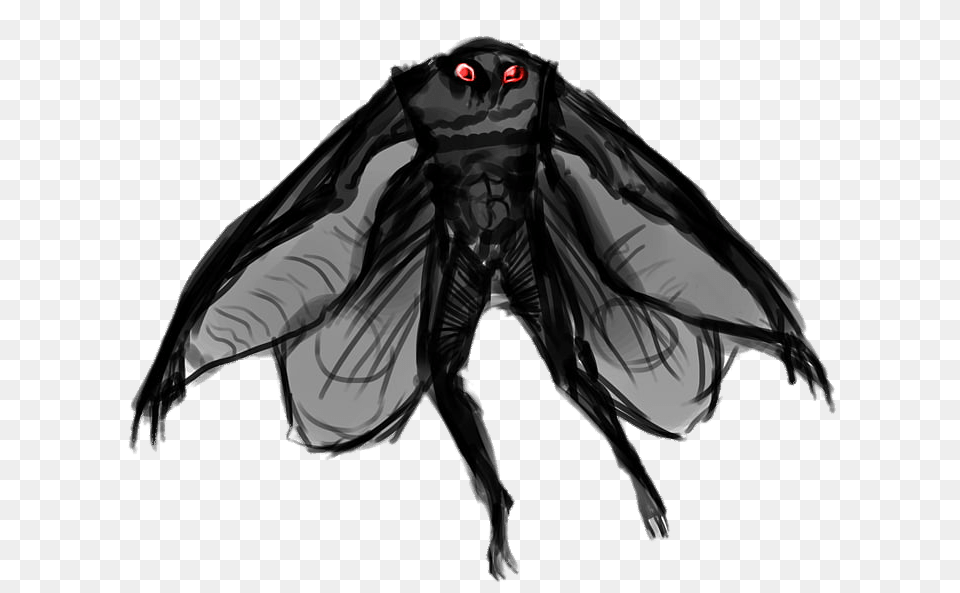 Point Pleasant Mothman, Clothing, Coat, Animal, Art Free Png Download