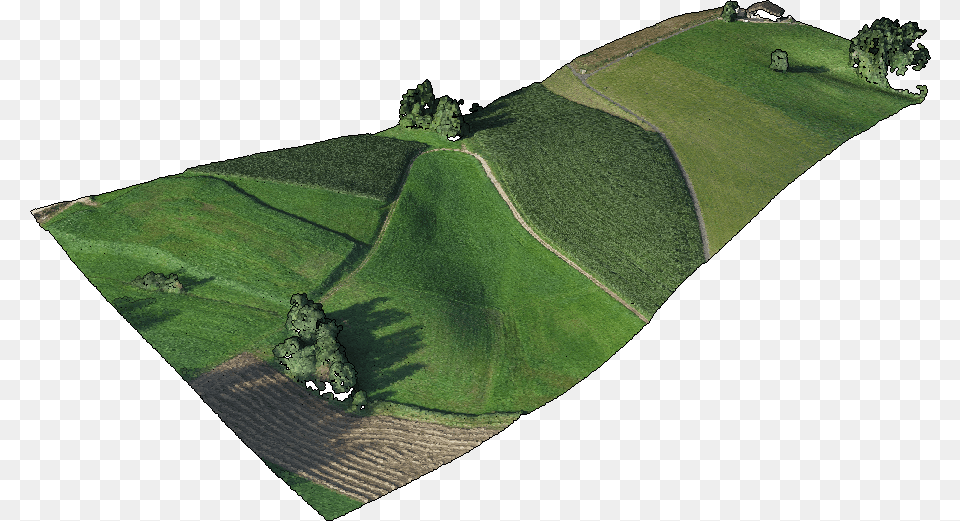 Point Set Example Grass, Field, Grassland, Nature, Outdoors Free Transparent Png