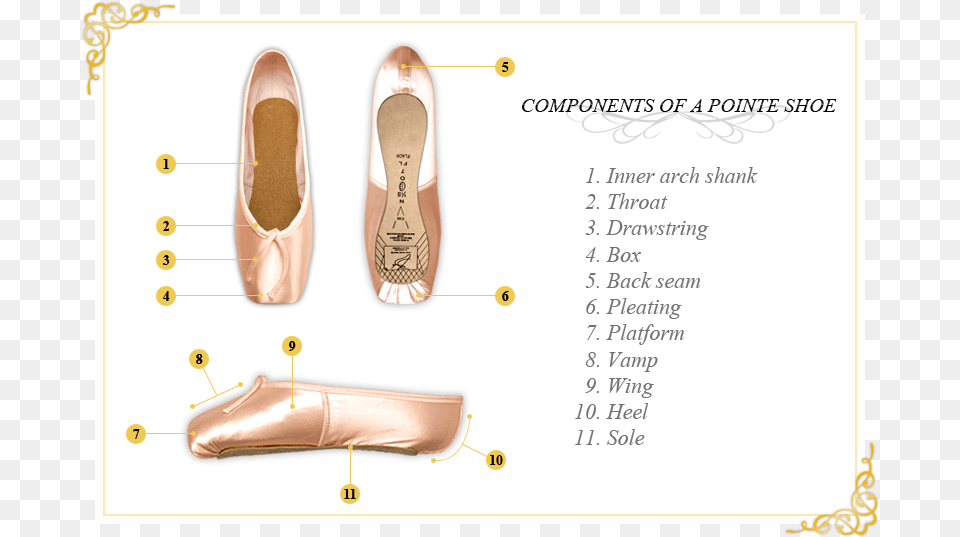 Pointe Shoes Components, Clothing, Footwear, High Heel, Shoe Png Image