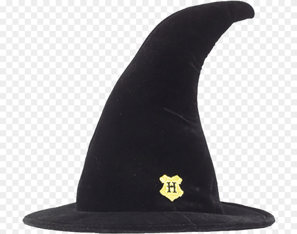 Pointed Hat Harry Potter, Clothing, Cap, Animal, Fish Png