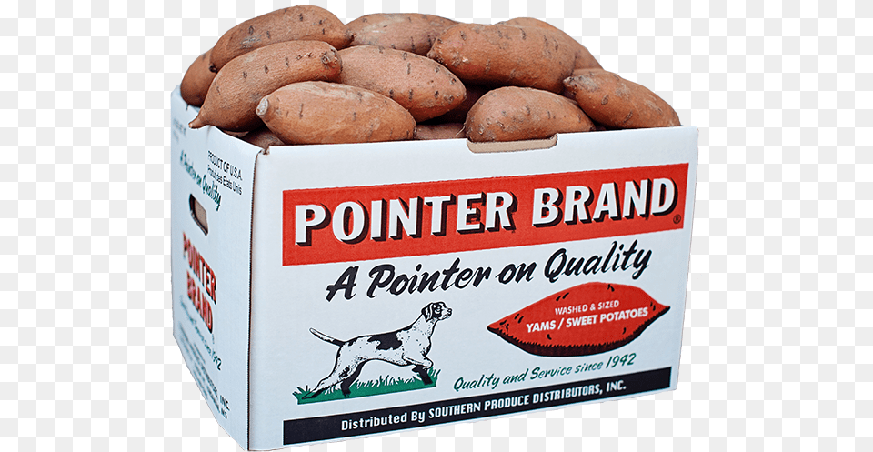 Pointer Brand Sweet Potatoes 40 Lb Box, Produce, Food, Vegetable, Sweet Potato Png Image