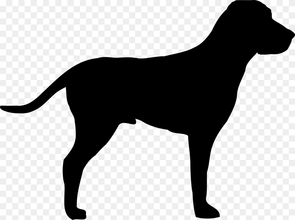Pointer Dog Doggy Outline Animal Coat Shape Dogs Black Shape, Gray Free Png Download