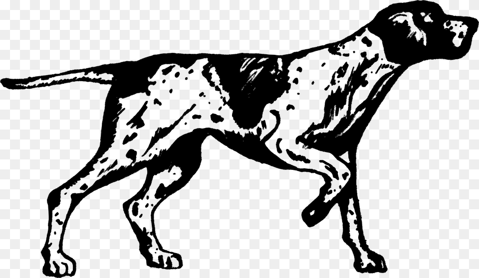 Pointer Svg Clip Arts German Shorthaired Pointer Line Art, Gray Free Png