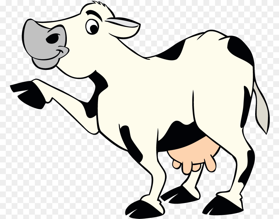 Pointing Cow Dakin Dairy Farms, Livestock, Mammal, Animal, Cattle Png Image