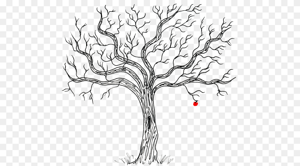 Poison Apple Tree Drawings, Art, Plant, Drawing Png
