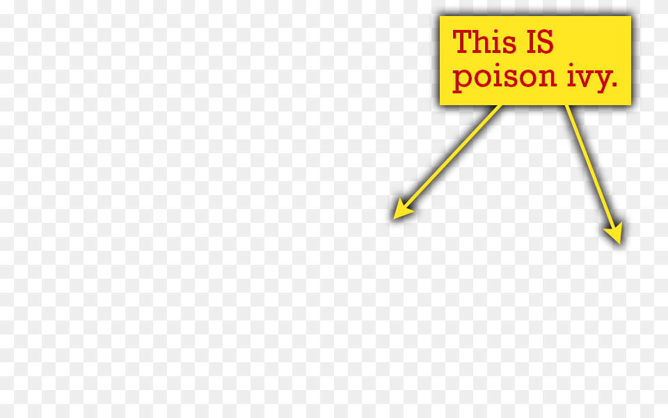 Poison Ivy Quiz The Poison Ivy Poison Oak Poison Sumac Site Free Transparent Png