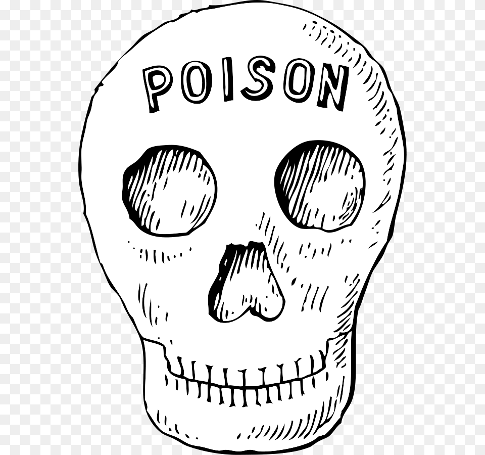 Poison Skull Svg Clip Arts Poison Skull Clipart, Stencil, Baby, Person, Art Png