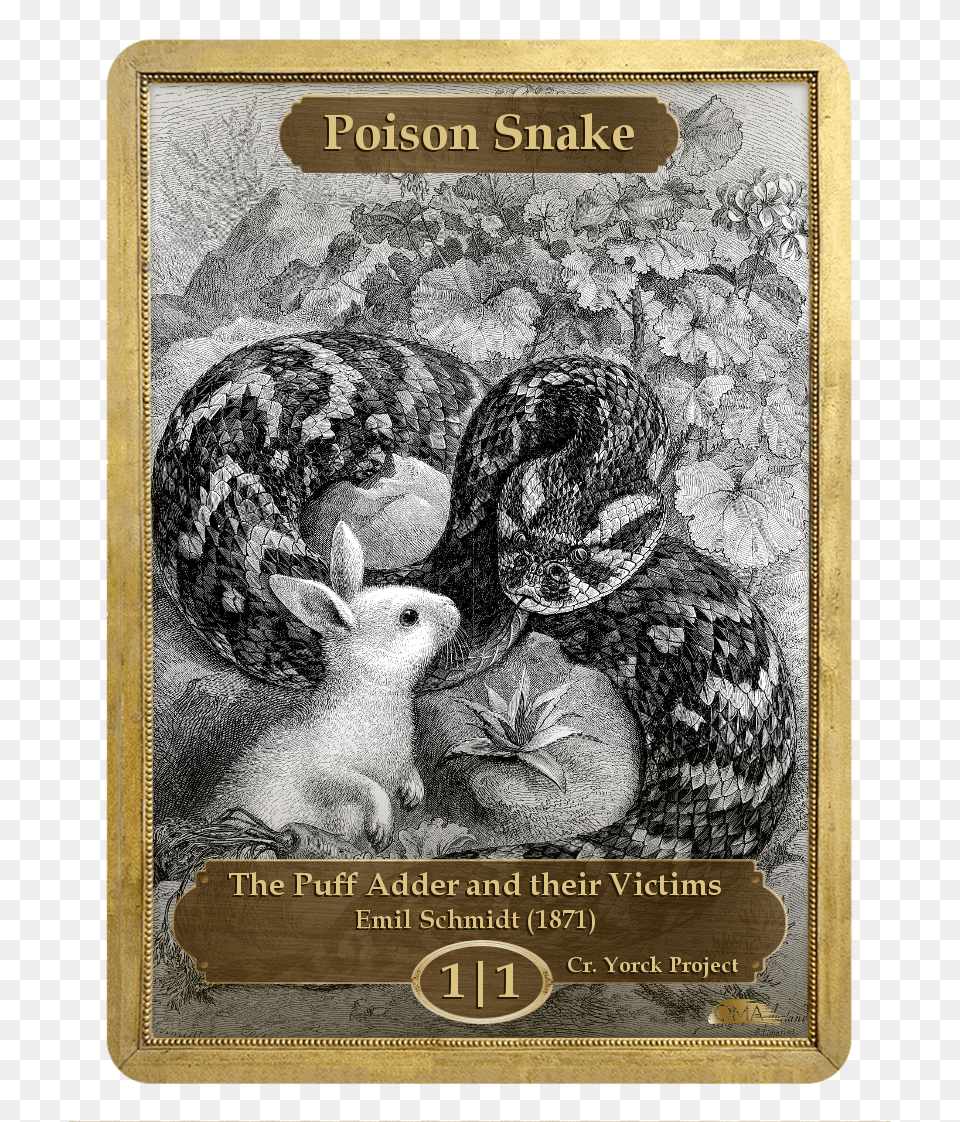 Poison Snake Token By Emil Schmidt Animaux Noir Amp Blanc Set De Cartes De Vux Cupcake, Animal, Bird, Reptile, Mammal Free Png