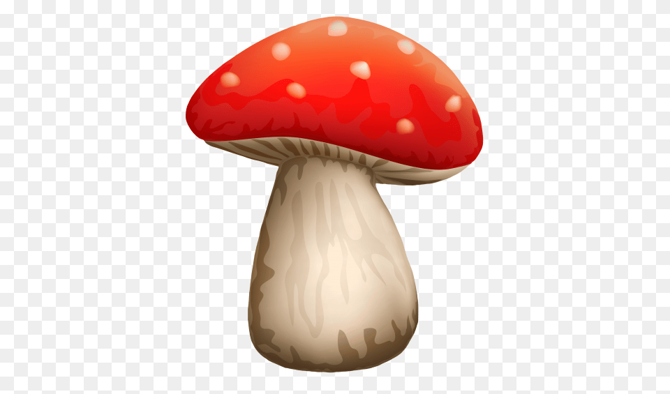 Poisonous Red Mushroom With White Dots, Agaric, Fungus, Plant, Amanita Png