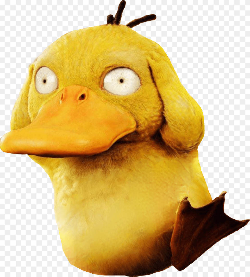 Pokemon Detective Pikachu Psyduck, Animal, Beak, Bird Png Image