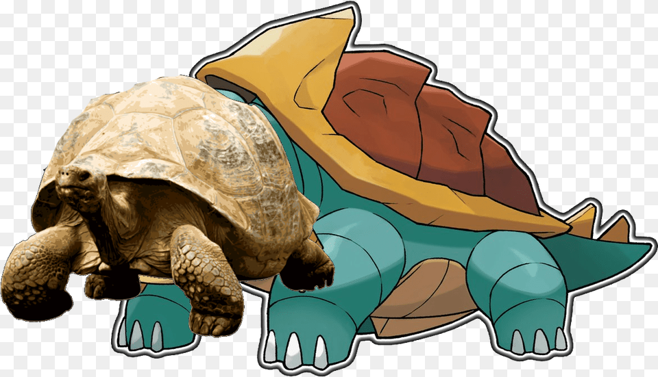 Pokemon Drednaw, Animal, Reptile, Sea Life, Tortoise Free Transparent Png