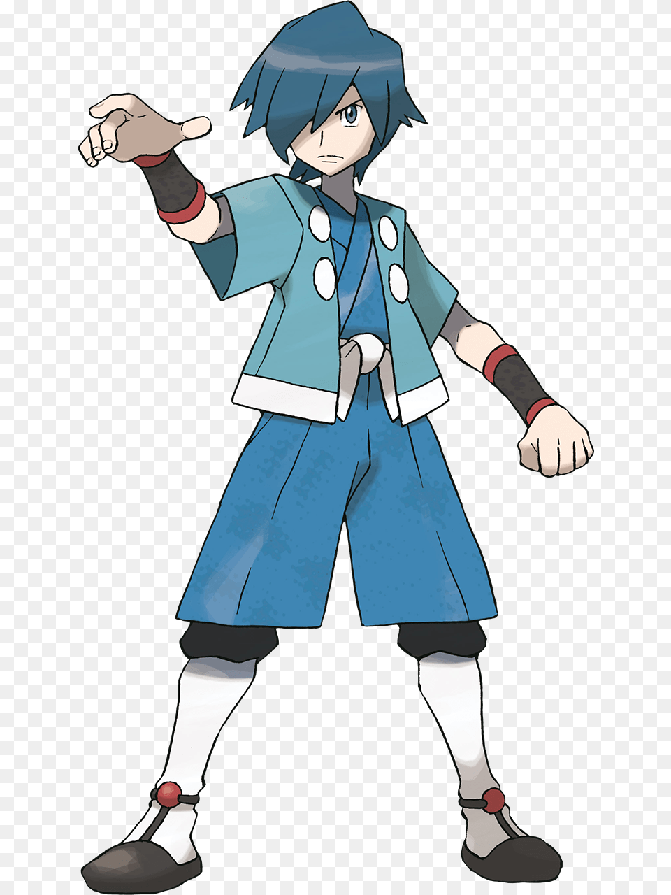 Pokemon Falkner, Book, Comics, Publication, Person Free Png