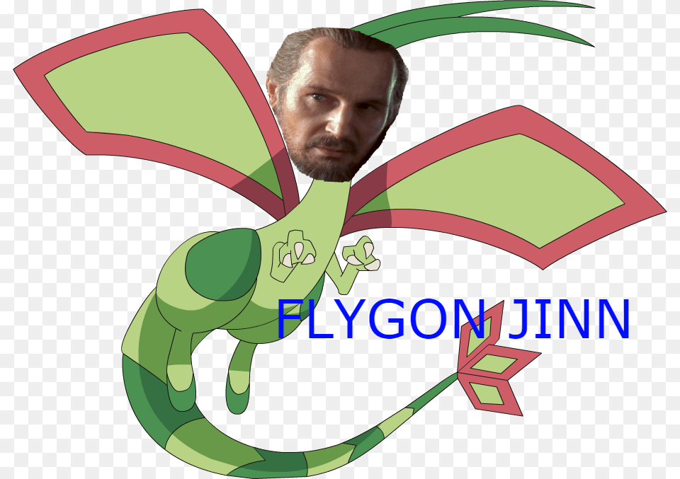 Pokemon Flygon Shiny, Adult, Male, Man, Person Png