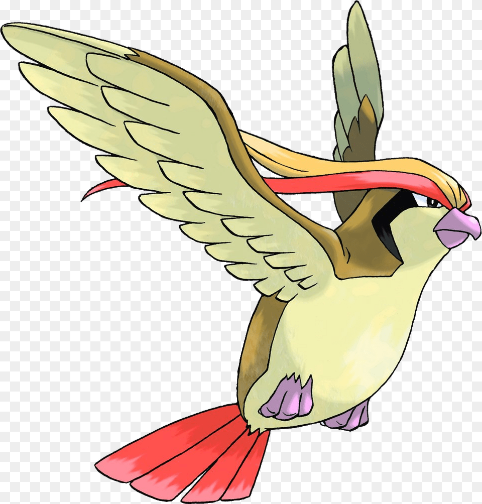 Pokemon Pidgeot, Animal, Bird, Flying, Beak Png Image