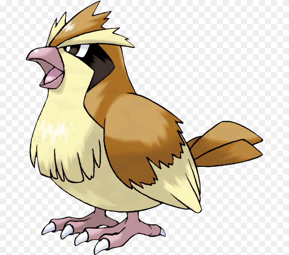 Pokemon Pidgey, Animal, Beak, Bird, Person Free Png Download