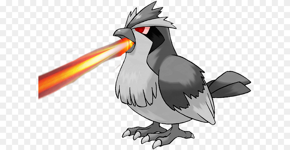 Pokemon Pidgey, Person, Animal, Beak, Bird Png