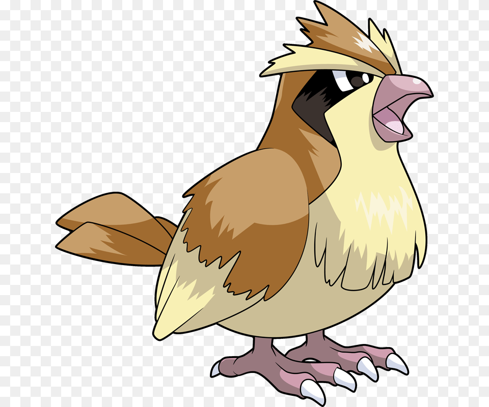 Pokemon Pidgey, Animal, Beak, Bird, Quail Png Image