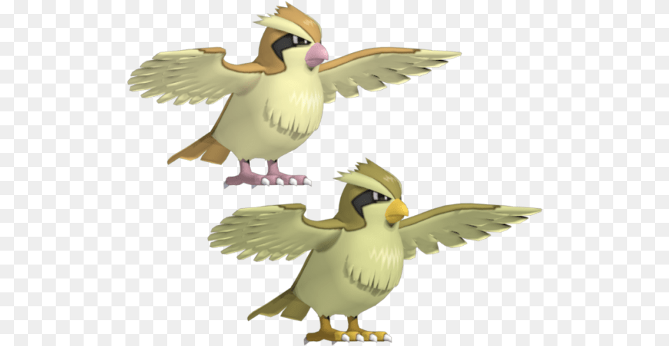Pokemon Pidgey 3d Model, Animal, Bird Free Png