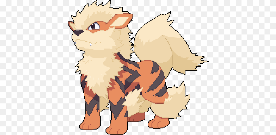 Pokemon Transparent Gif Arcanine, Baby, Person, Face, Head Png