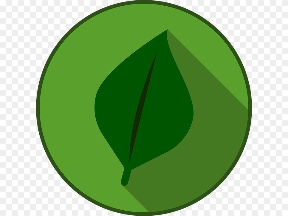 Pokemon Type Element Design Symbol Sign Icon Cd, Green, Leaf, Plant, Disk Png