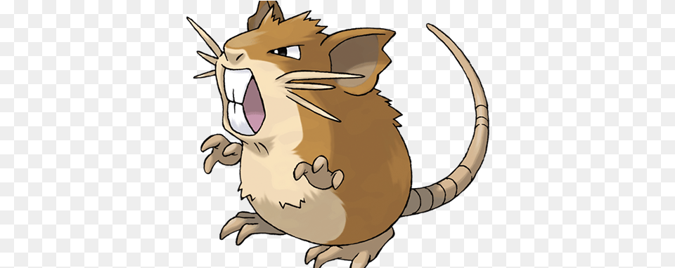 Pokmon Gif Donu0027t Be Like Raticate By Chasing The Person Pokemon Raticate, Animal, Mammal, Electronics, Hardware Free Transparent Png