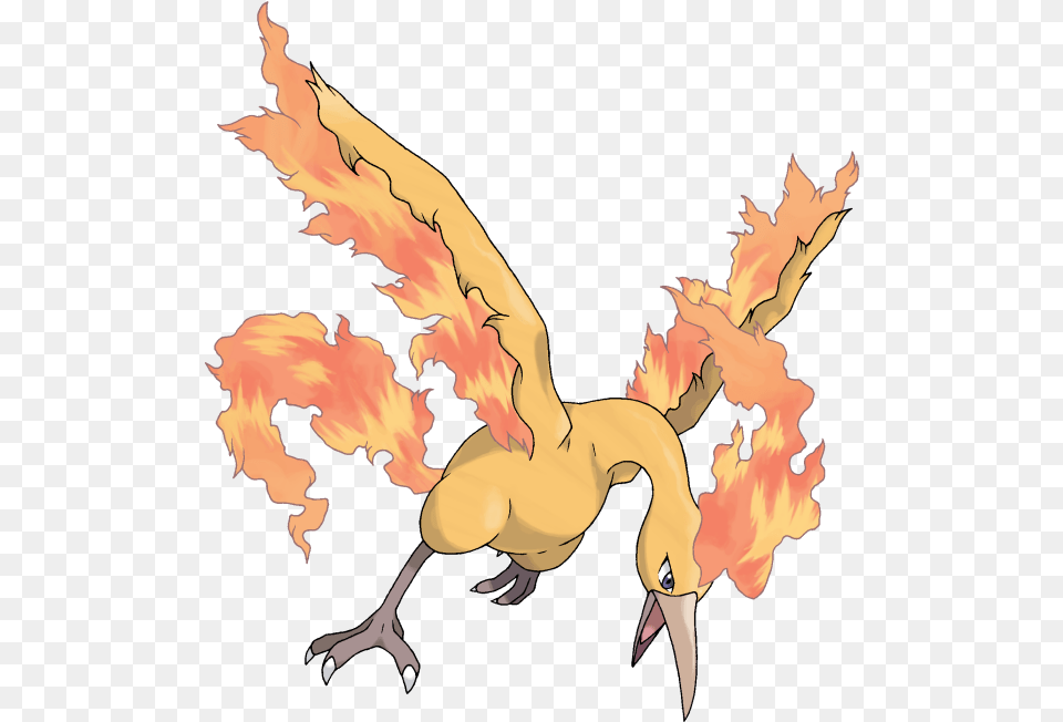 Pokmon Moltres, Person, Dragon Free Transparent Png