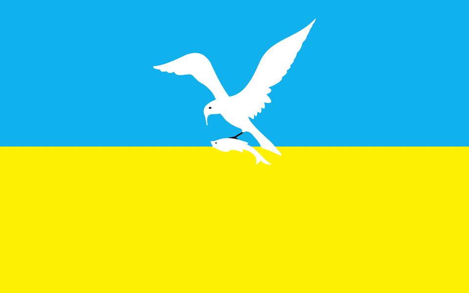 Pol Sopot Flag Clipart, Animal, Bird, Flying, Seagull Free Transparent Png