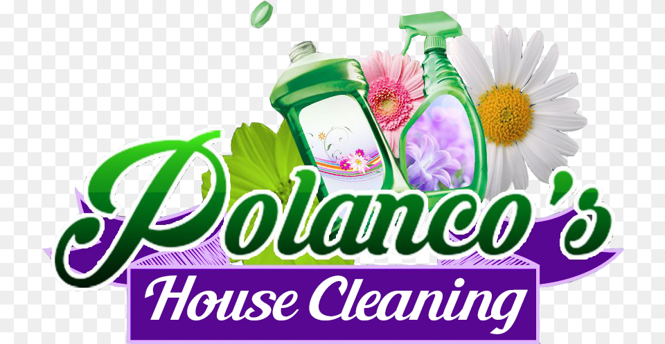 Polancos House Cleaning African Daisy, Herbal, Herbs, Plant, Flower Png Image