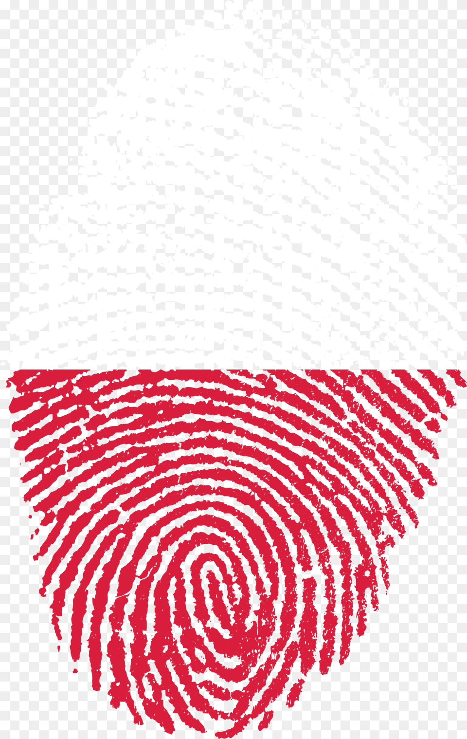 Poland Flag Fingerprint Country Poland Fingerprint, Home Decor, Rug, Spiral, Person Png