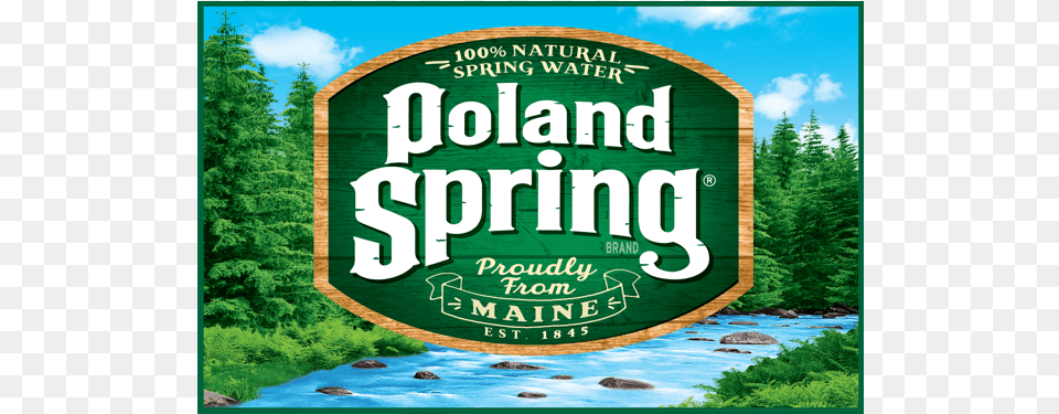 Poland Spring Water 24 Pack, Vegetation, Tree, Plant, Advertisement Free Png Download