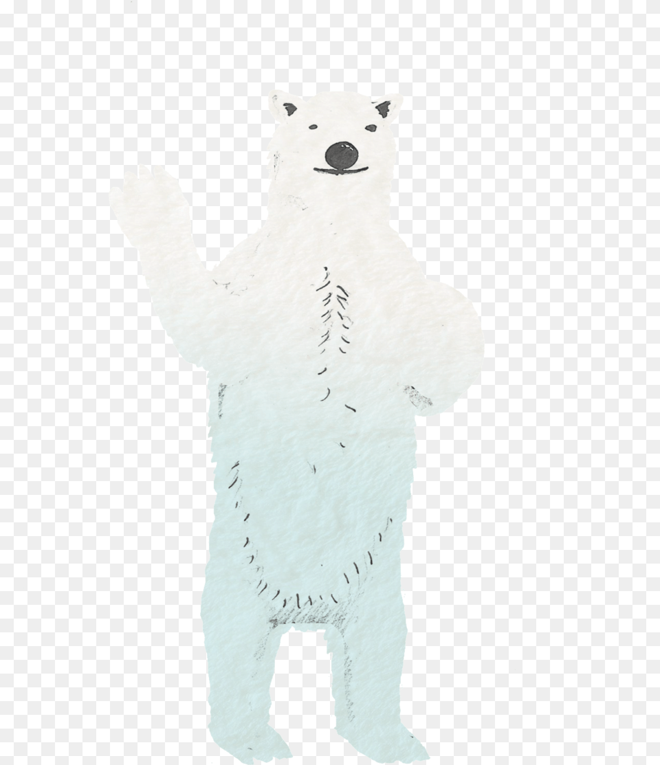 Polar Bear, Animal, Mammal, Wildlife Free Png Download