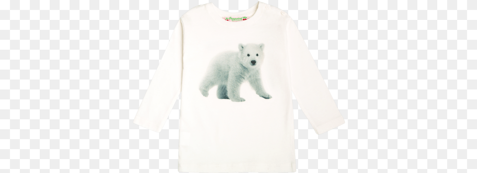 Polar Bear, Animal, Clothing, Long Sleeve, Mammal Free Transparent Png
