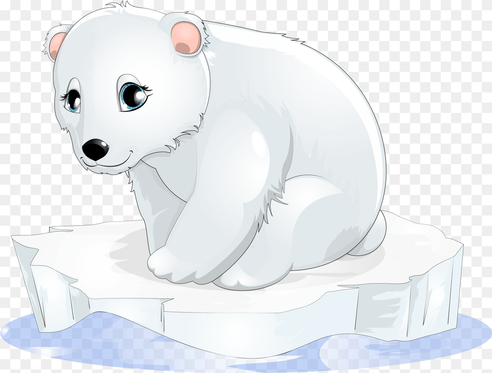 Polar Bear, Baby, Person, Animal, Mammal Free Png