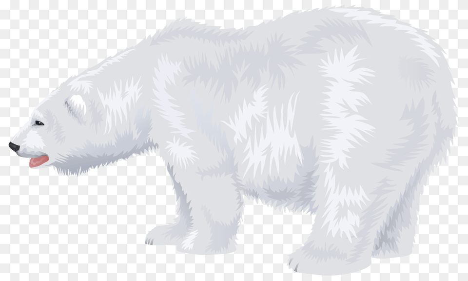 Polar Bear, Animal, Mammal, Wildlife, Bird Png