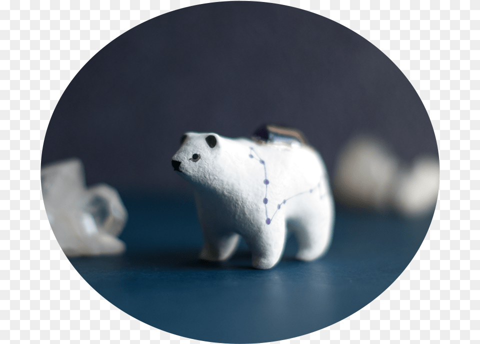 Polar Bear, Animal, Mammal, Wildlife Free Png Download