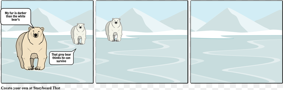 Polar Bear, Animal, Mammal, Wildlife, Book Free Transparent Png