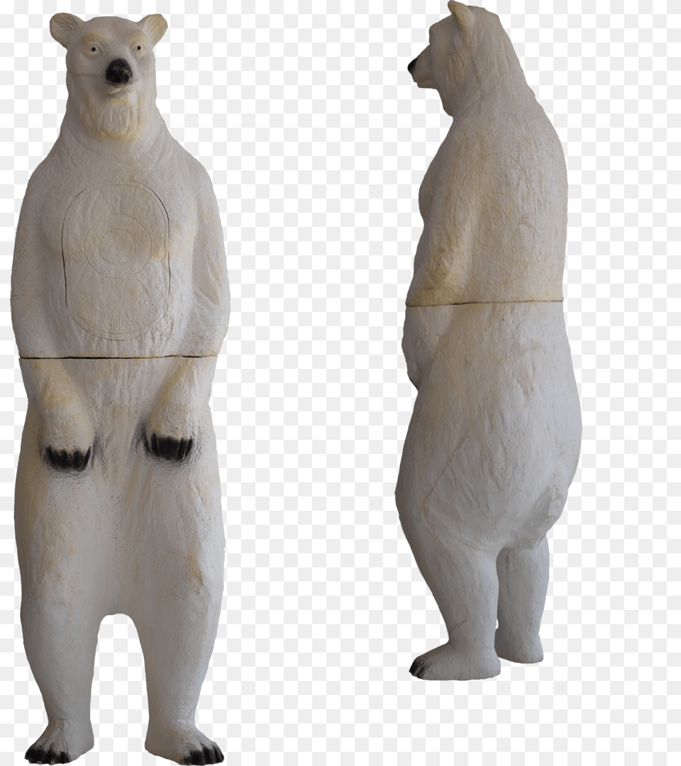 Polar Bear, Animal, Canine, Dog, Mammal Png