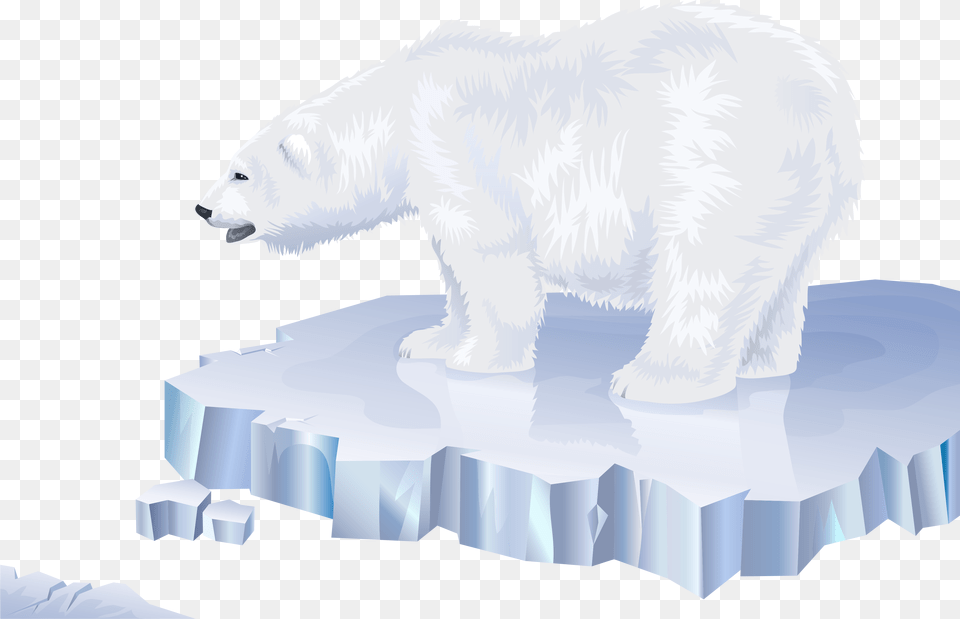 Polar Bear, Ice, Animal, Mammal, Wildlife Free Transparent Png