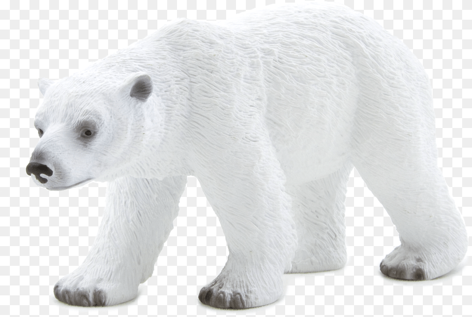 Polar Bear, Animal, Mammal, Wildlife, Polar Bear Free Png Download