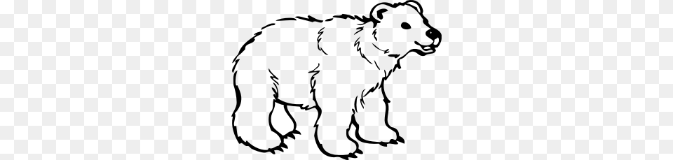 Polar Bear, Silhouette, Lighting Free Png