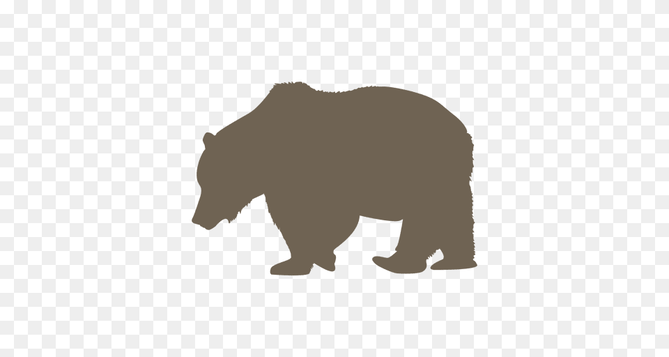 Polar Bear, Animal, Mammal, Wildlife, Brown Bear Free Png