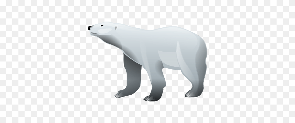 Polar Bear, Appliance, Blow Dryer, Device, Electrical Device Free Png