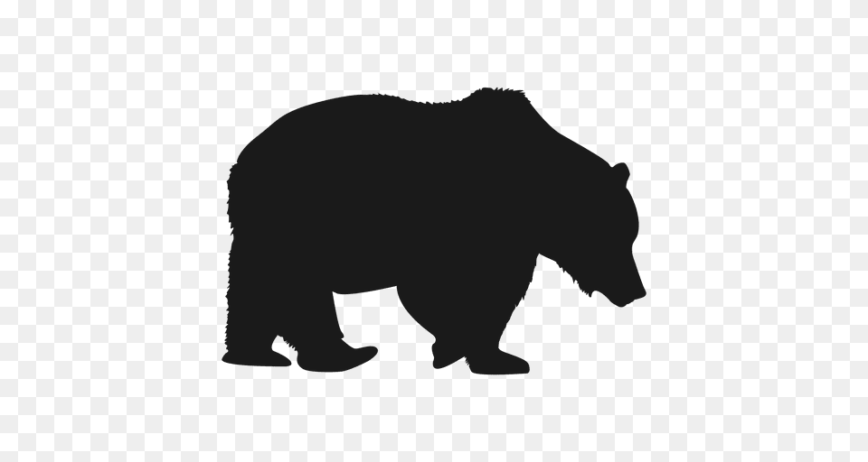 Polar Bear, Animal, Mammal, Wildlife, Black Bear Png