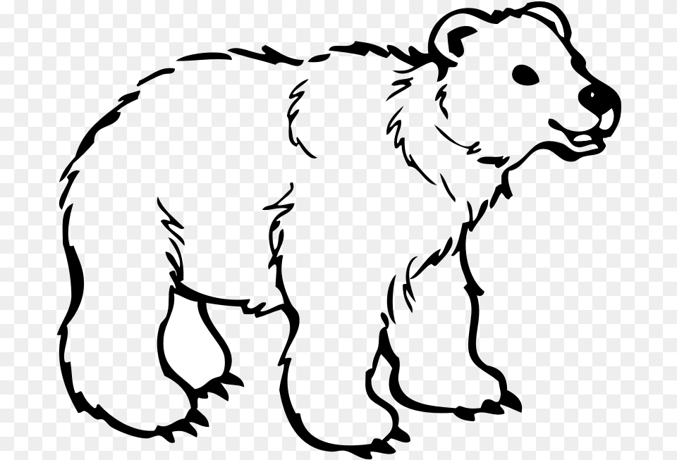 Polar Bear American Black Bear Brown Bear Drawing Bear Clipart Black And White Outline, Silhouette, Lighting Free Png Download