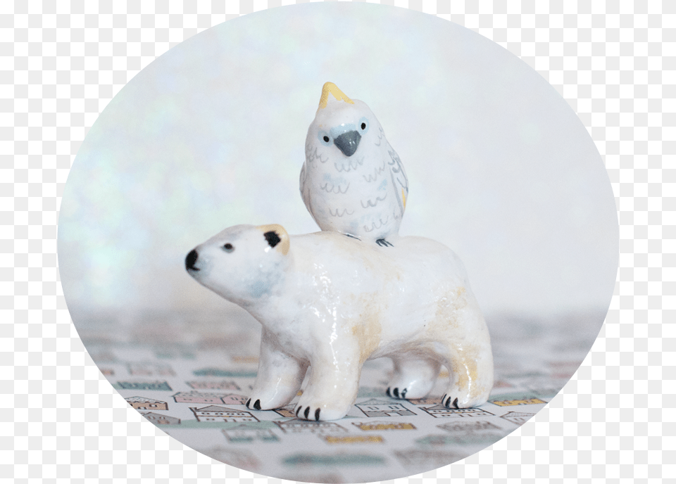 Polar Bear And Cockatoo, Animal, Mammal, Wildlife, Bird Free Png Download